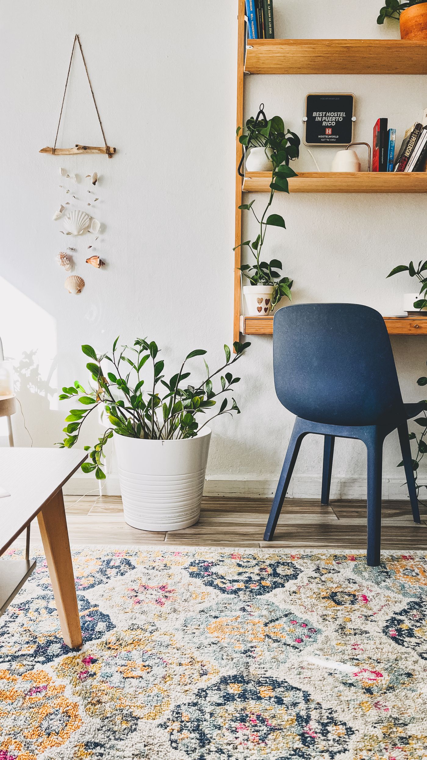 Patterned rug beside a blue chair and plants