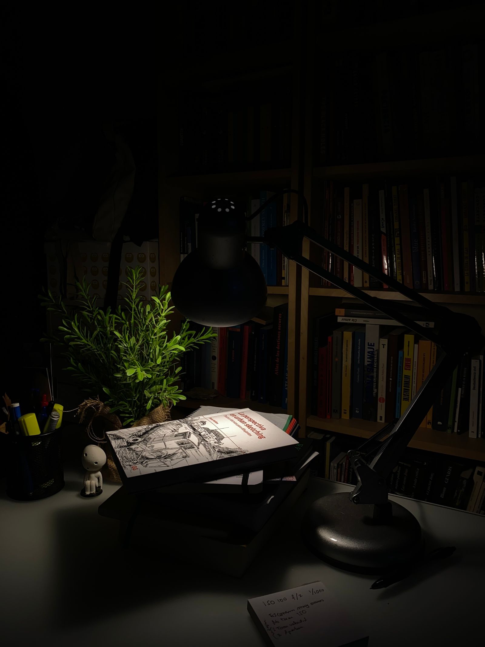 Lamp illuminating books and a plant on a desk