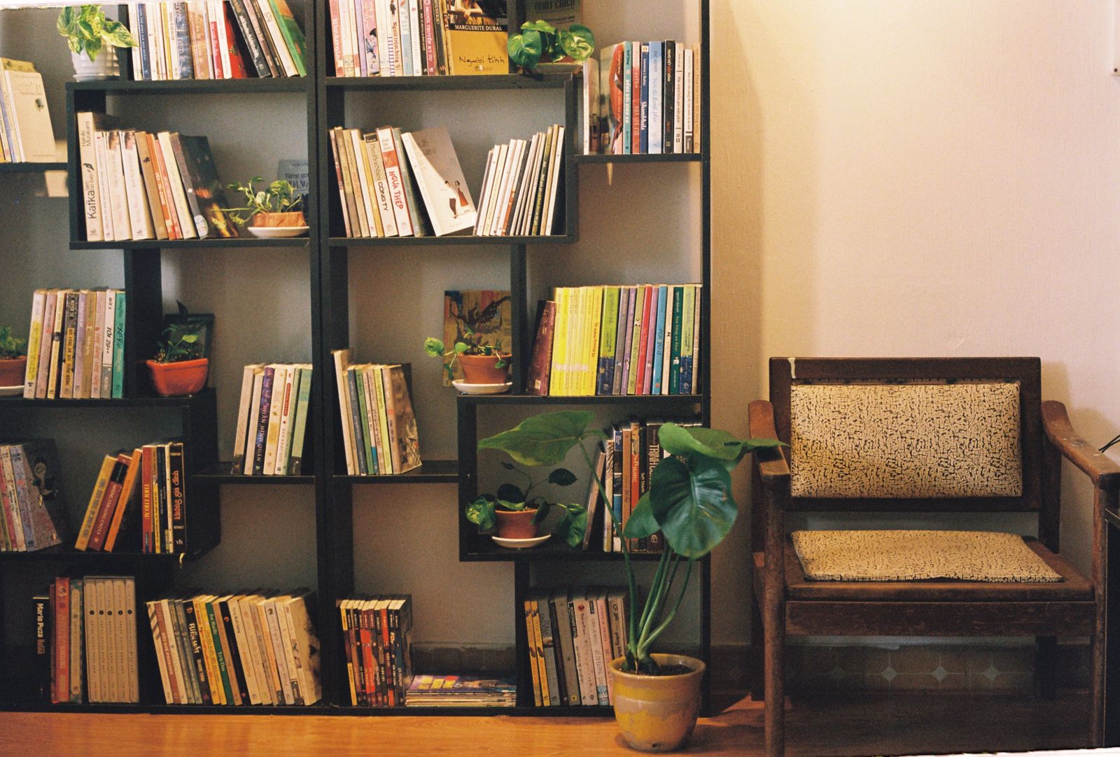 A bookshelf beside an armchair and potted plants