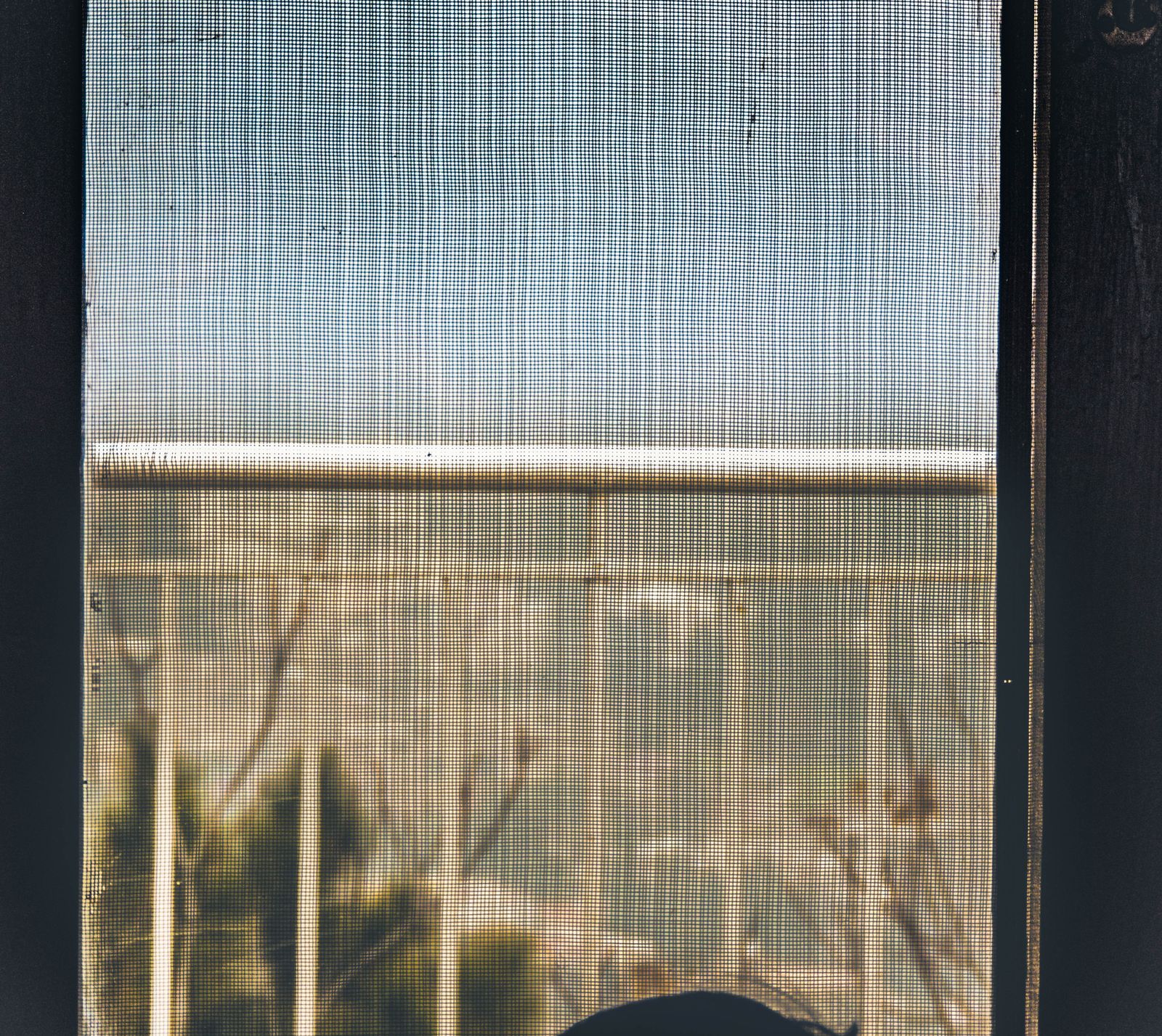 Clean Apartment Window Screens: Identify the Assembly Before Planning the Wash