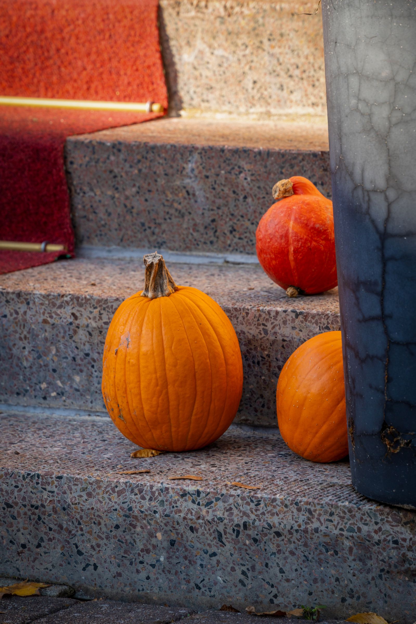 Pumpkins arranged on outdoor steps
