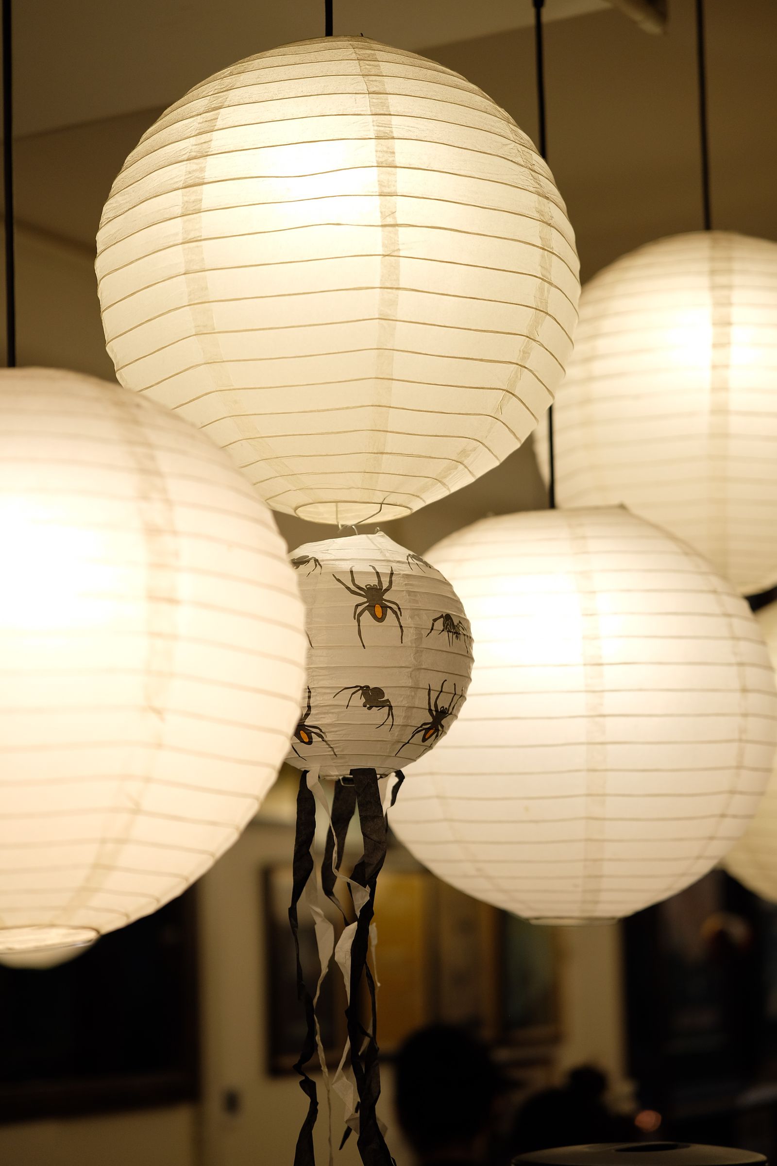 Paper lanterns with spider decorations