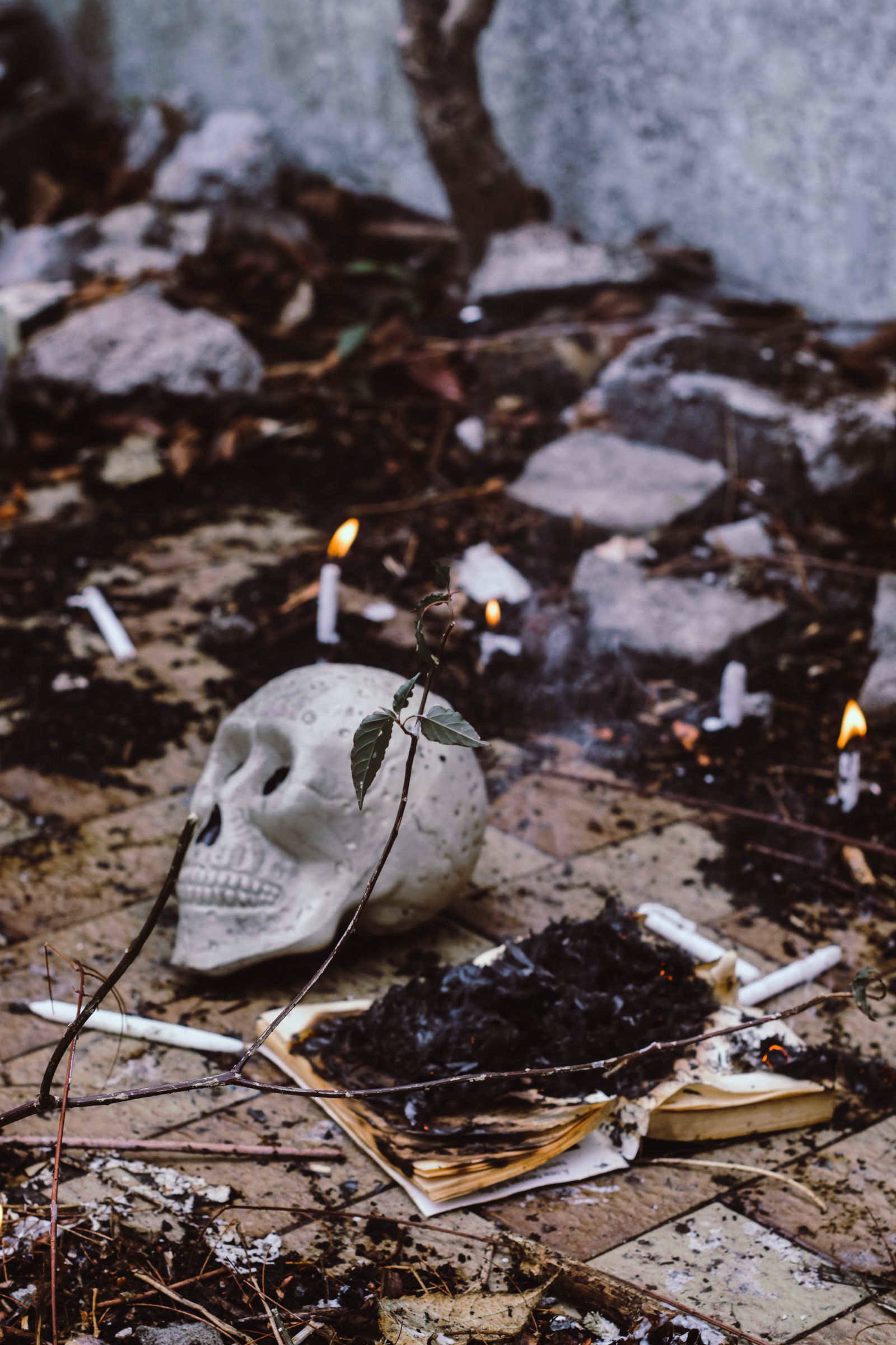 Skull, book, and candles in an outdoor still life