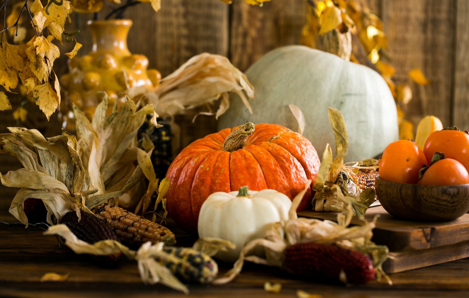 Pumpkins and gourds beside autumn leaves