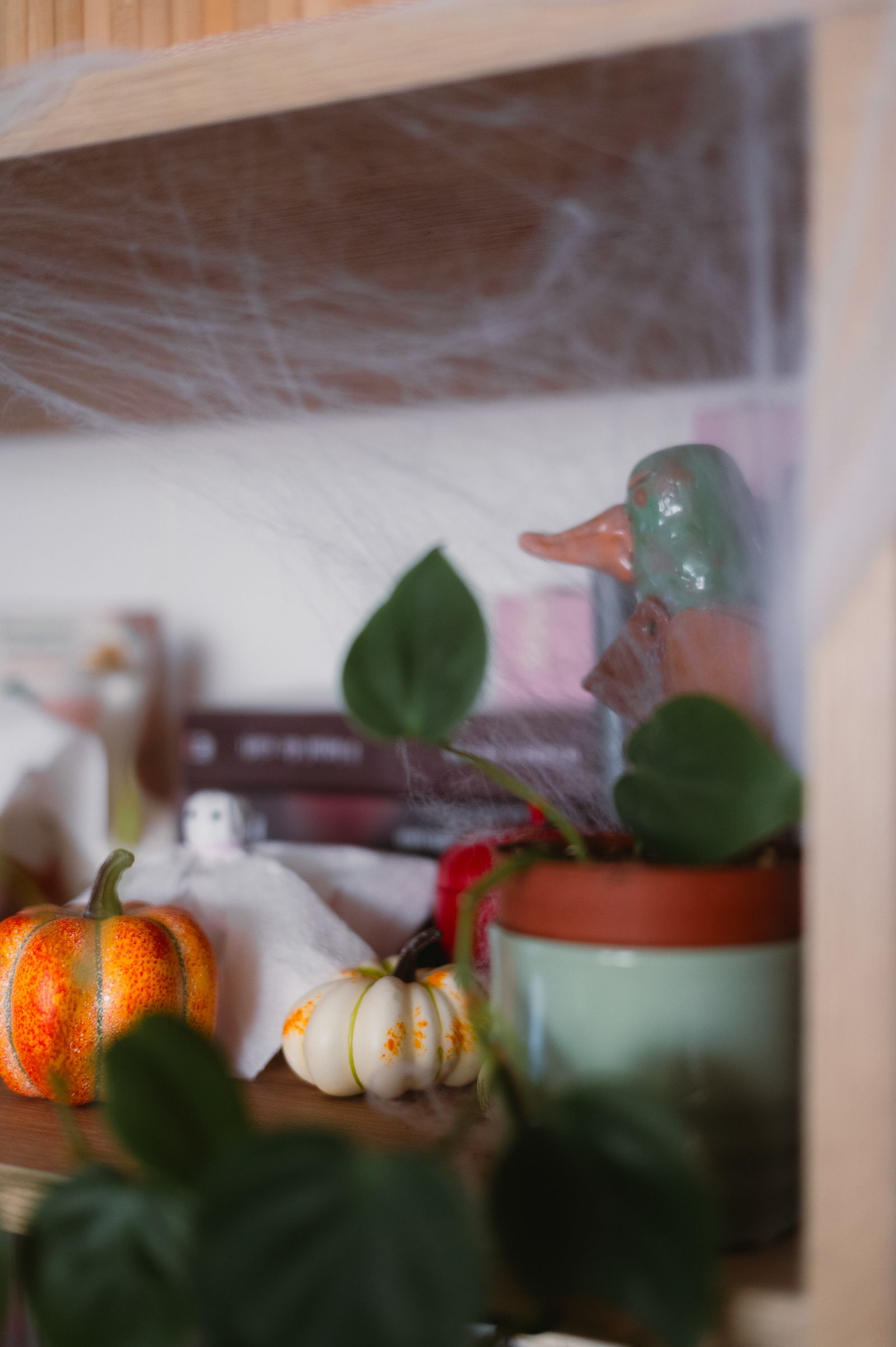 Style a Haunted Halloween Bookshelf Without Hiding Your Books