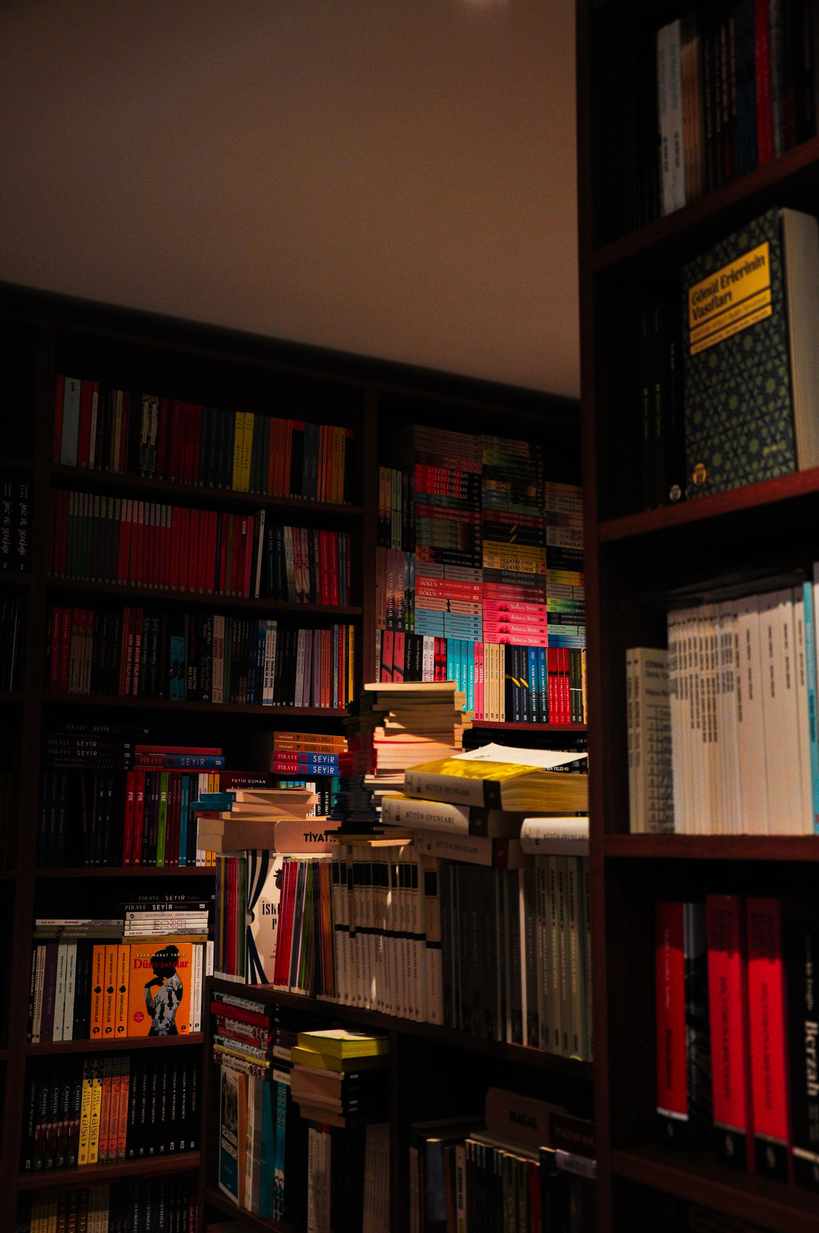 Books arranged on colorful library shelves