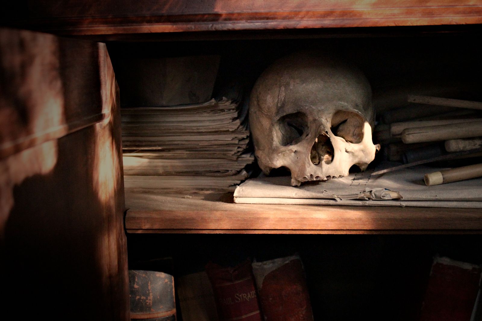 Skull among aged papers and books on a shelf