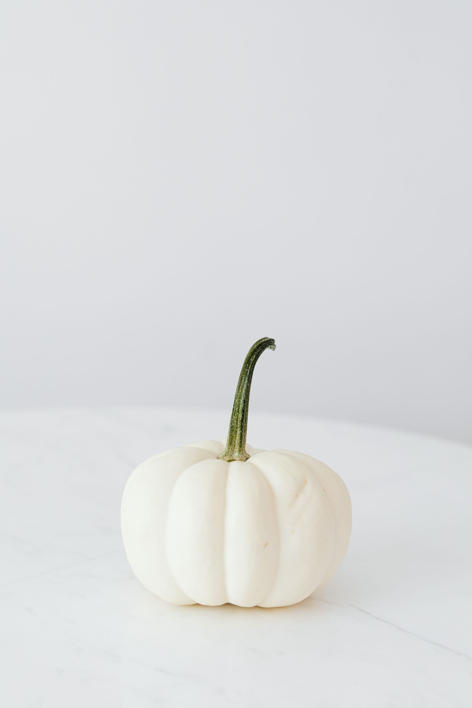A white pumpkin on a marble tabletop