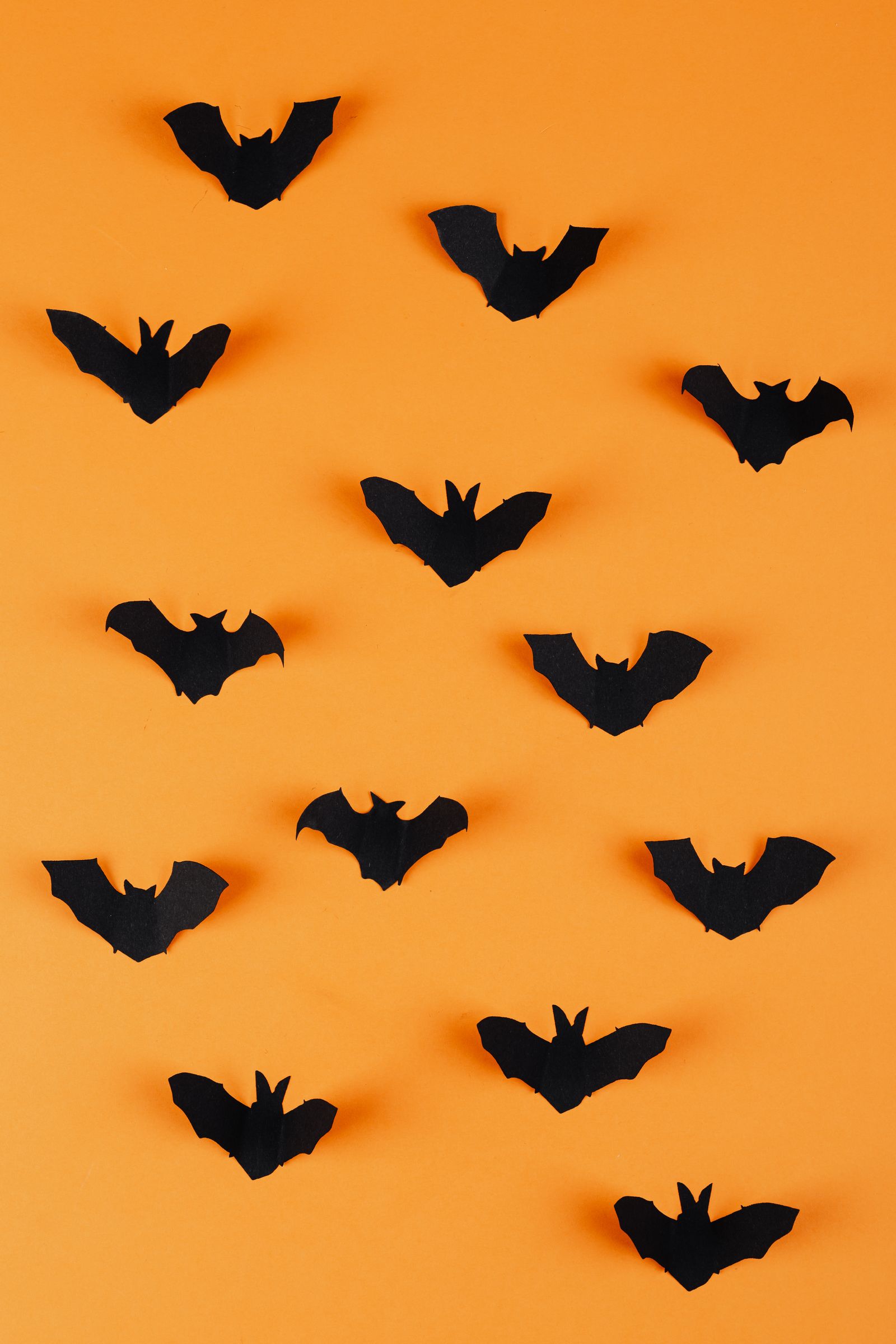 Black bat silhouettes on an orange surface