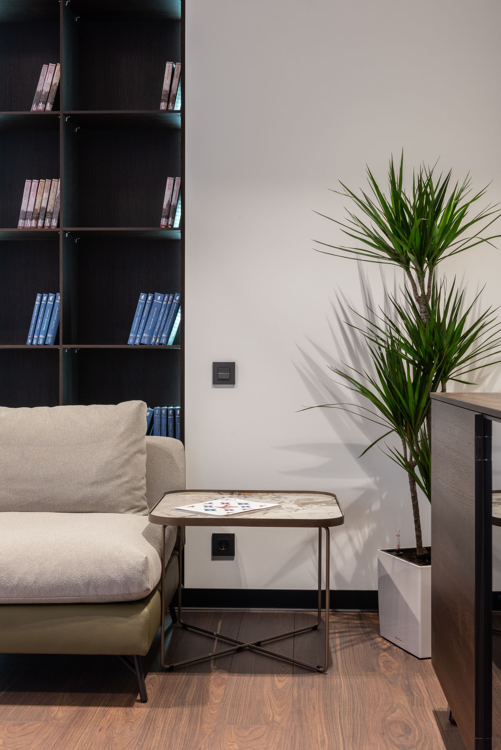 A living-room sofa beneath wooden shelves