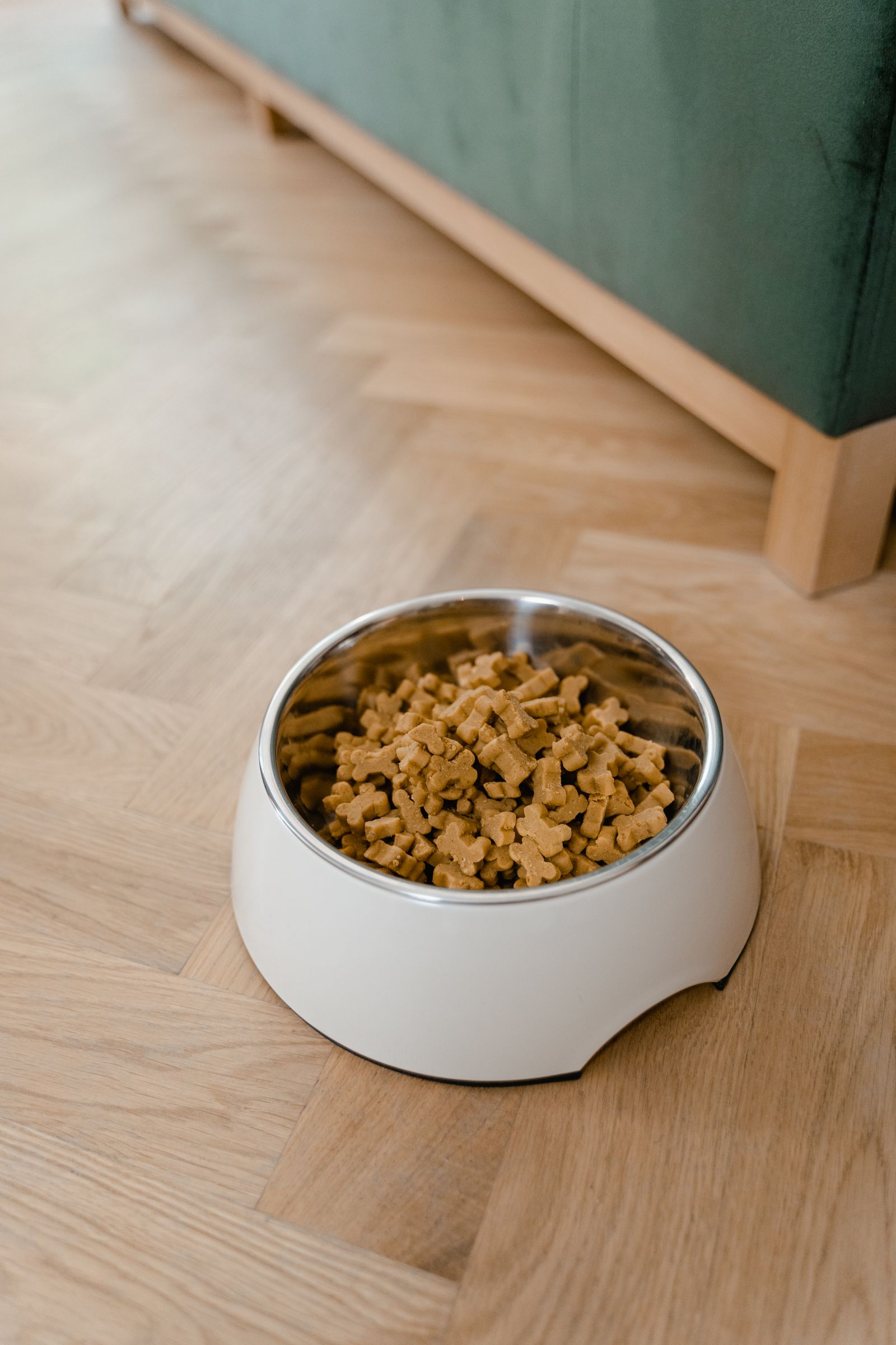 A bowl of dry pet food on a wooden floor