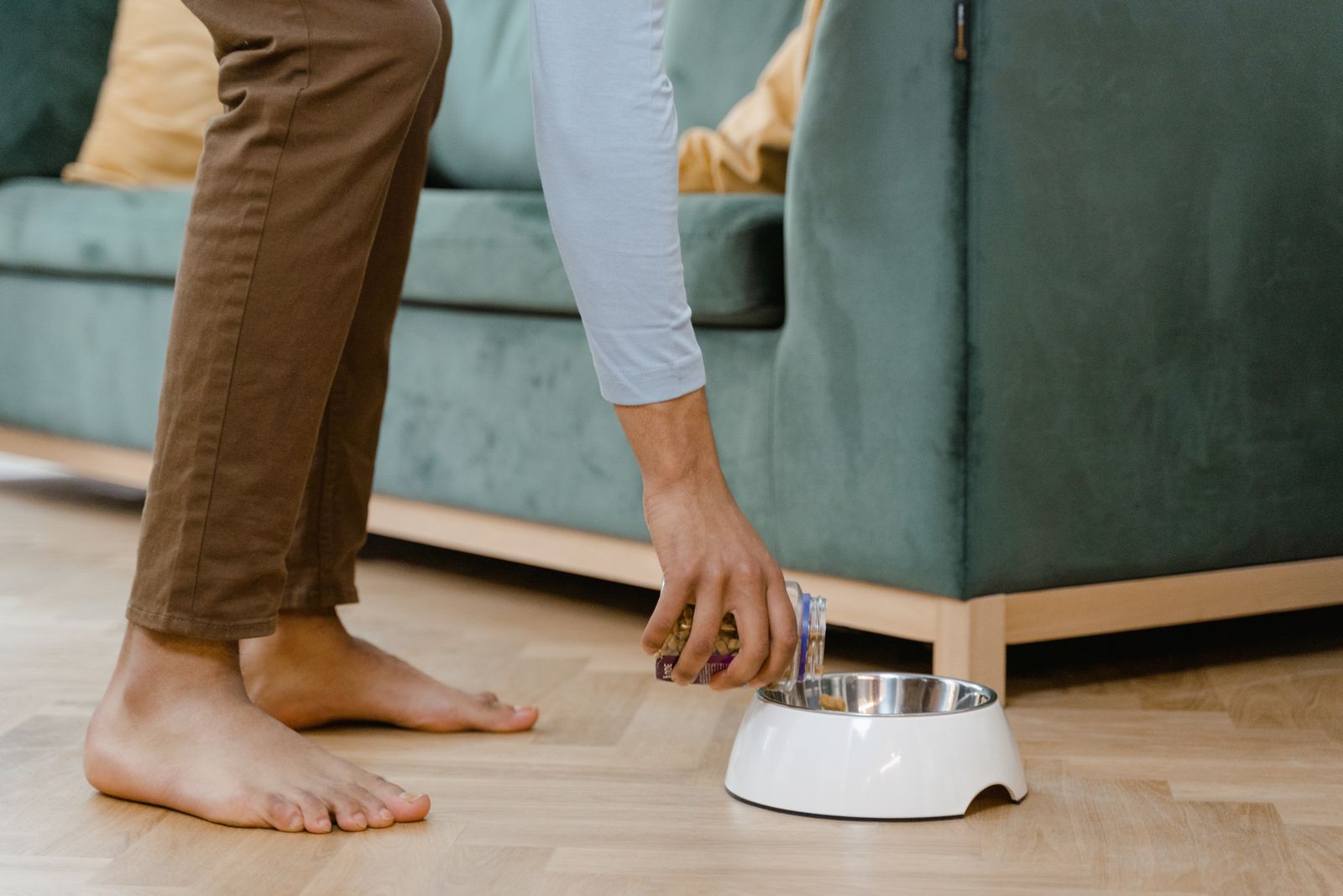 An adult placing a dog bowl on the floor beside a sofa