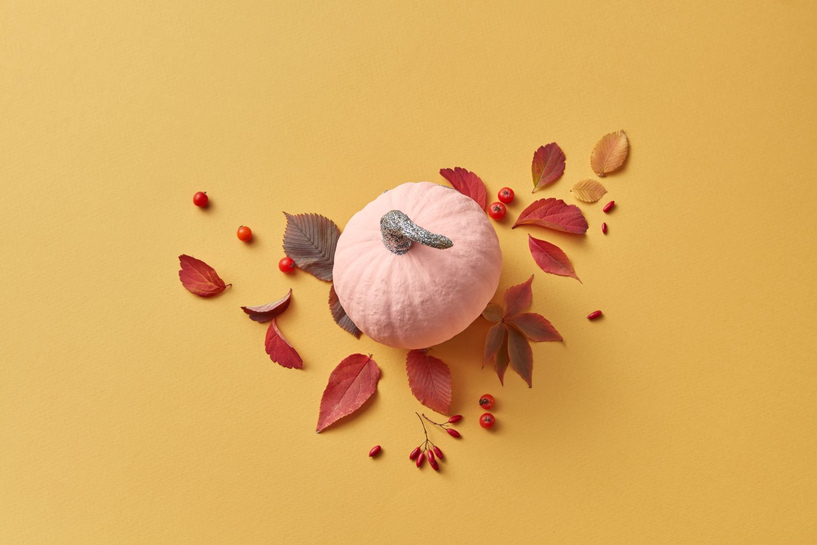 A pink pumpkin beside red leaves and berries